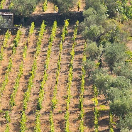 Quinta Dos Padrinhos - Suites In The Heart Of The Douro ลาเมโก ภายนอก รูปภาพ