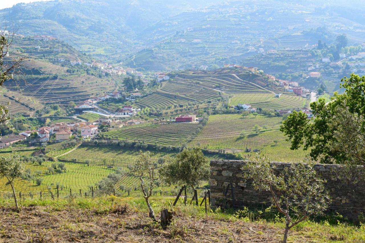 Quinta Dos Padrinhos - Suites In The Heart Of The Douro ลาเมโก ภายนอก รูปภาพ