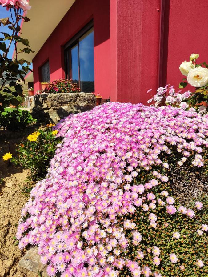 Quinta Dos Padrinhos - Suites In The Heart Of The Douro ลาเมโก ภายนอก รูปภาพ
