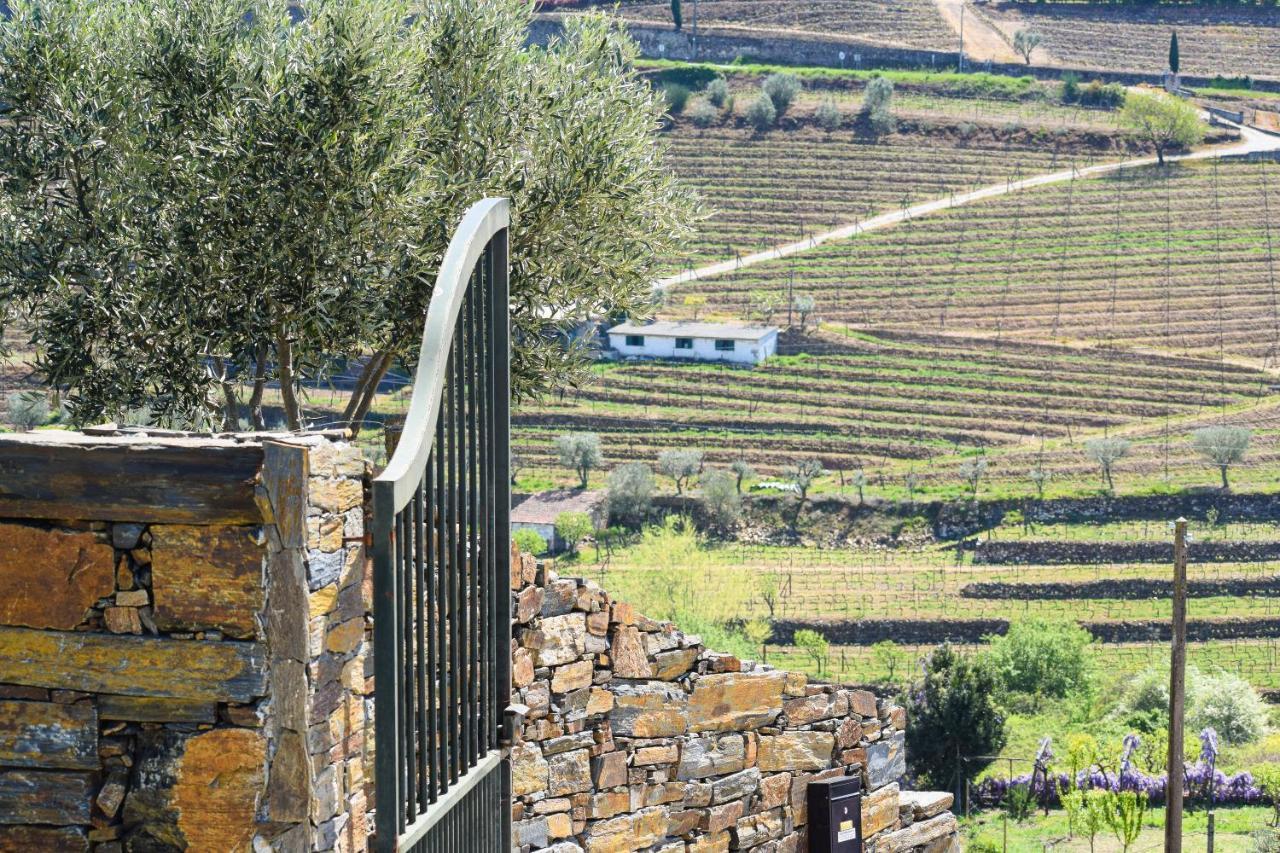 Quinta Dos Padrinhos - Suites In The Heart Of The Douro ลาเมโก ภายนอก รูปภาพ