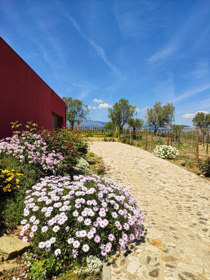 Quinta Dos Padrinhos - Suites In The Heart Of The Douro ลาเมโก ภายนอก รูปภาพ