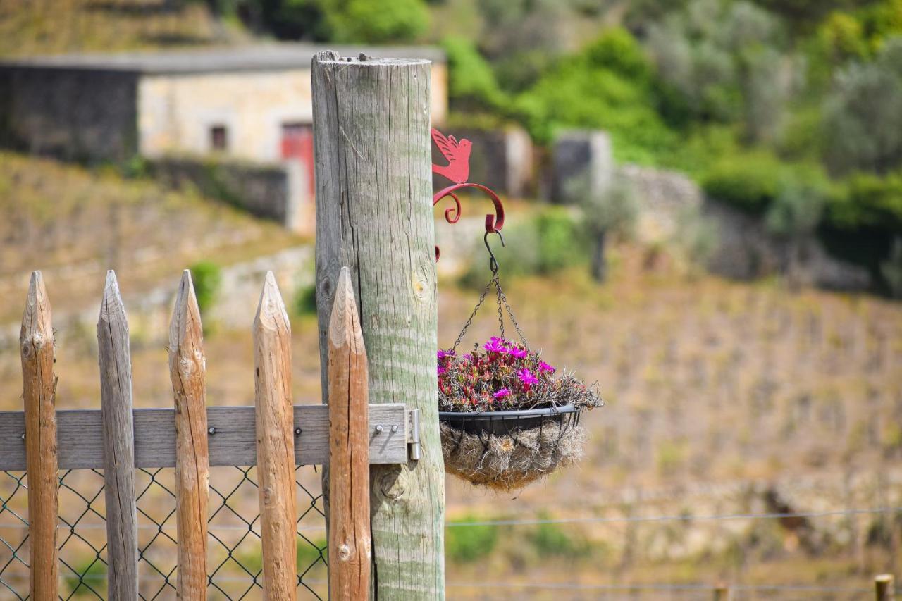 Quinta Dos Padrinhos - Suites In The Heart Of The Douro ลาเมโก ภายนอก รูปภาพ