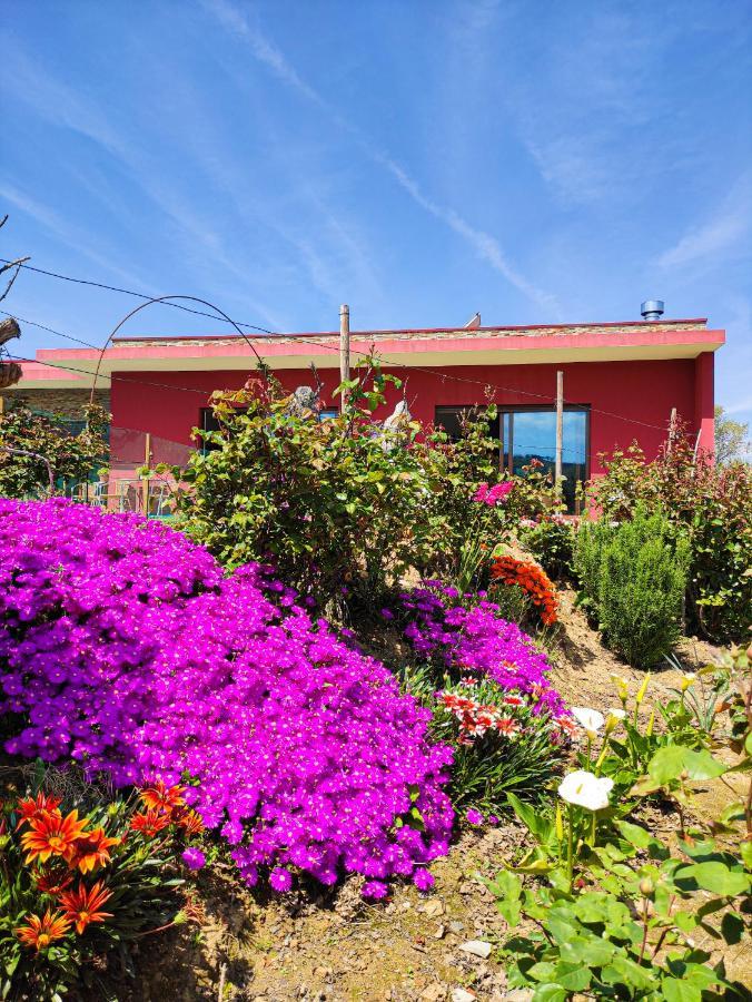 Quinta Dos Padrinhos - Suites In The Heart Of The Douro ลาเมโก ภายนอก รูปภาพ
