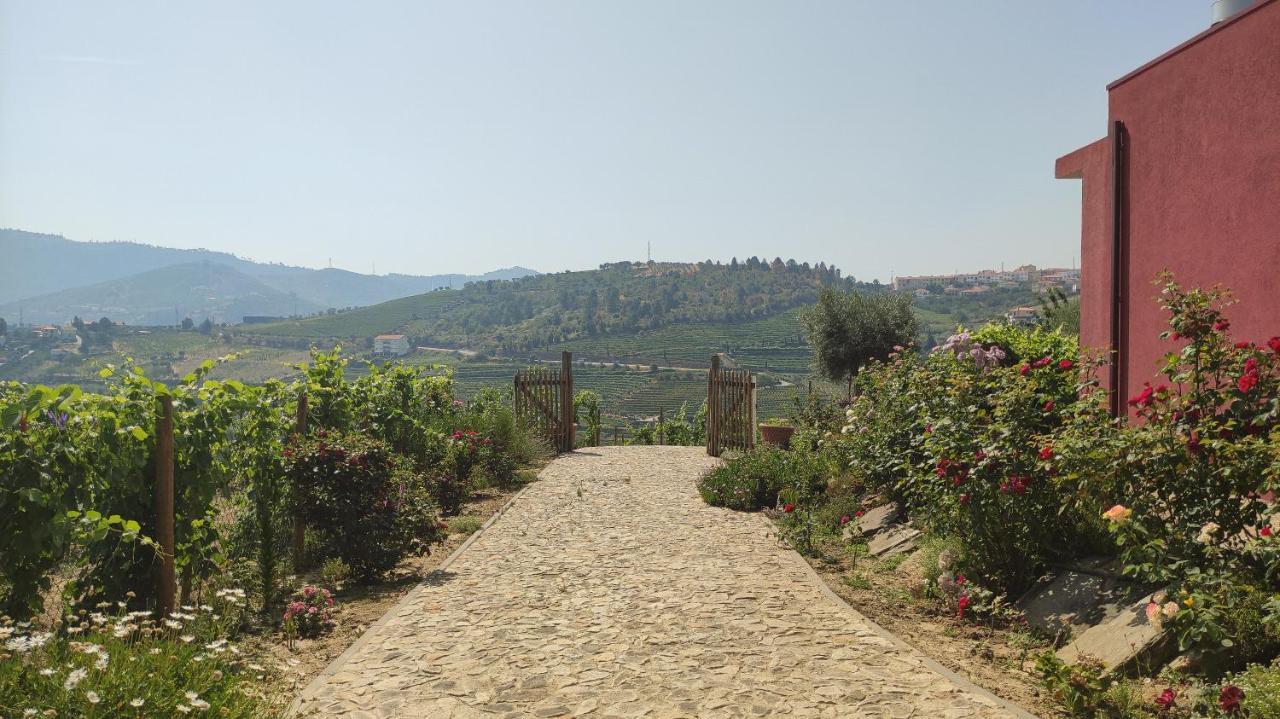 Quinta Dos Padrinhos - Suites In The Heart Of The Douro ลาเมโก ภายนอก รูปภาพ