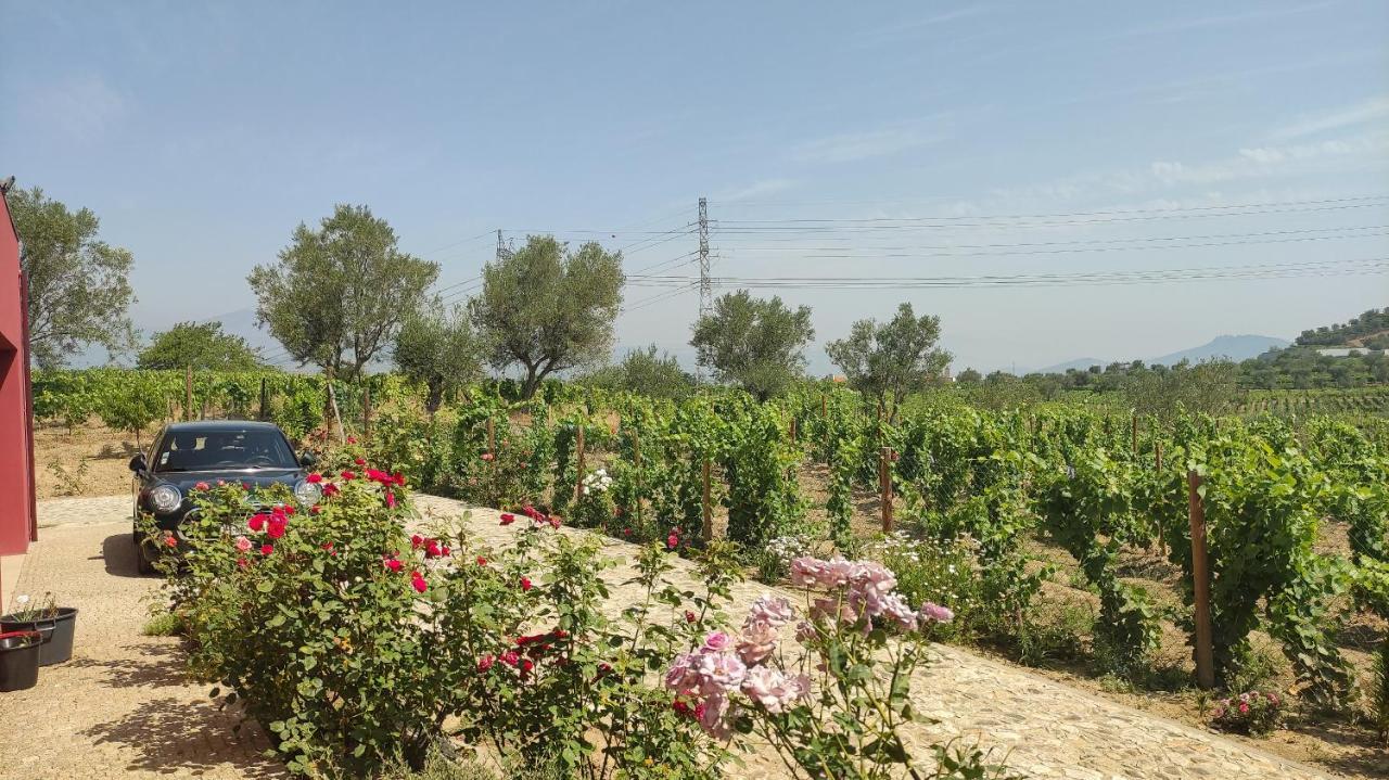 Quinta Dos Padrinhos - Suites In The Heart Of The Douro ลาเมโก ภายนอก รูปภาพ