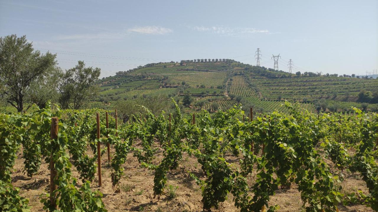 Quinta Dos Padrinhos - Suites In The Heart Of The Douro ลาเมโก ภายนอก รูปภาพ