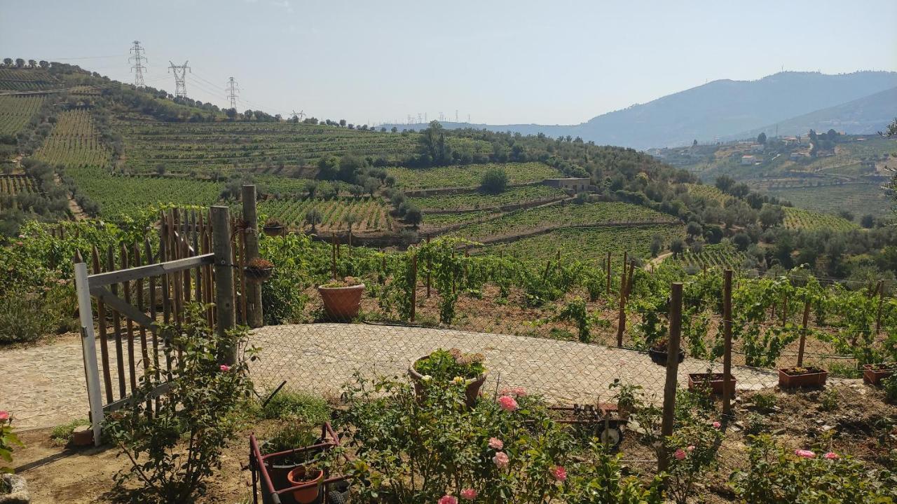 Quinta Dos Padrinhos - Suites In The Heart Of The Douro ลาเมโก ภายนอก รูปภาพ