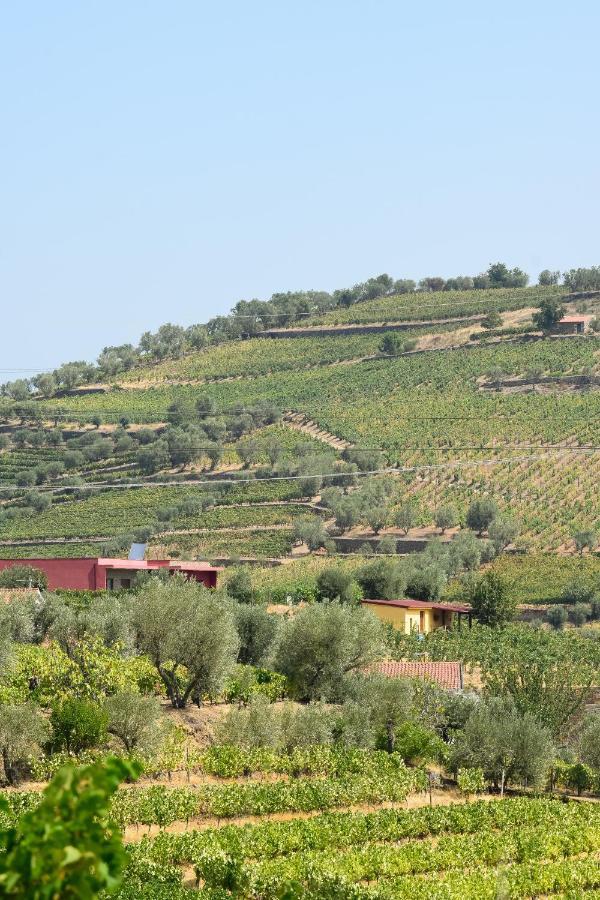 Quinta Dos Padrinhos - Suites In The Heart Of The Douro ลาเมโก ภายนอก รูปภาพ